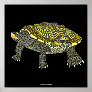 Tortue serpentine (noire) - Affiche imprimée