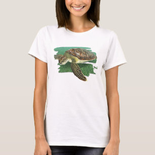 Tortue verte dans le T-shirt d'habitat
