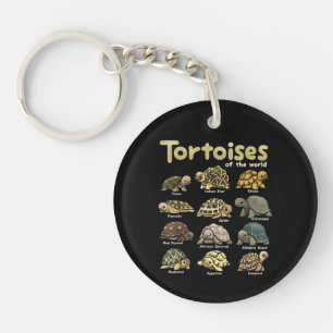 Tortues Animaux du Monde Reptile Mignon Tortue