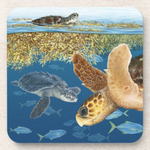 Tortues de mer dans des dessous de verre d'habitat