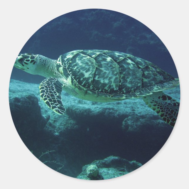Tortuga Runder Aufkleber (Vorderseite)
