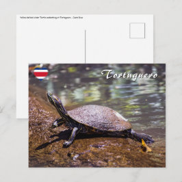 Tortuguero - Gelbbblasser-Schieber Schildkröte Postkarte