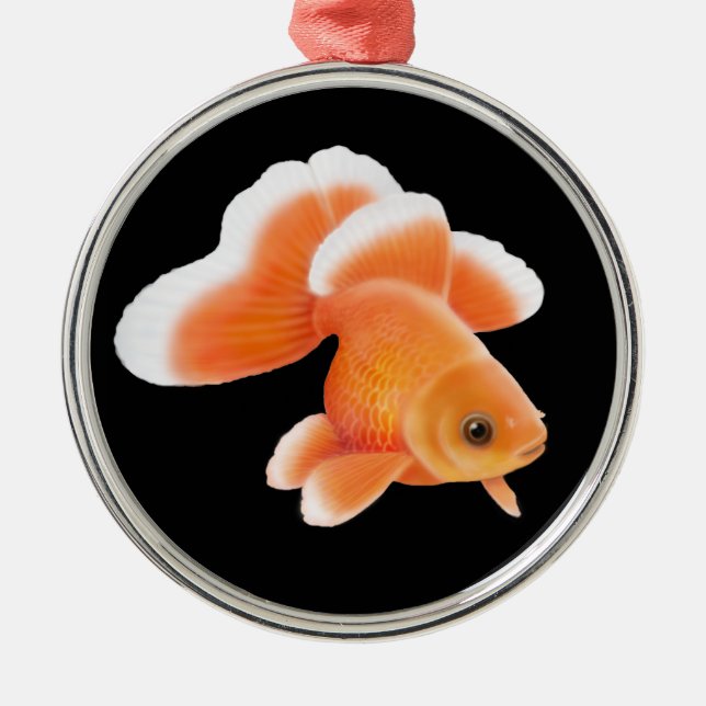 Tosakin Fantail-Goldfisch-Verzierung Silbernes Ornament (Vorne)