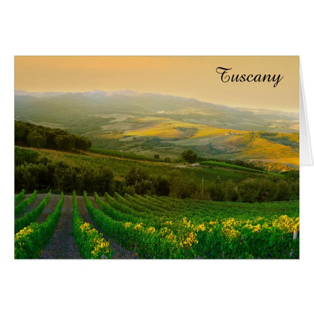 Toscane Italie Vignoble italien Photo (Devant horizontal)