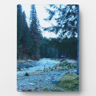 Tosender Gebirgsbach – Wilde Natur Rumänien Fotoplatte