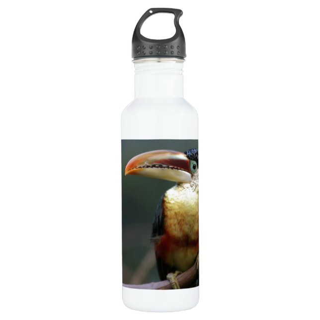 Toskana im Zoo Trinkflasche (Vorderseite)