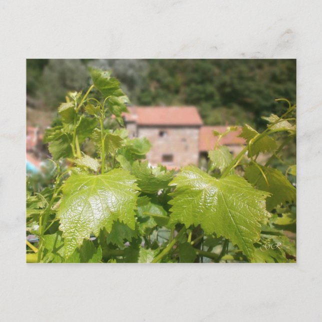 Toskana. Italien. Cortona. Postkarte (Vorderseite)