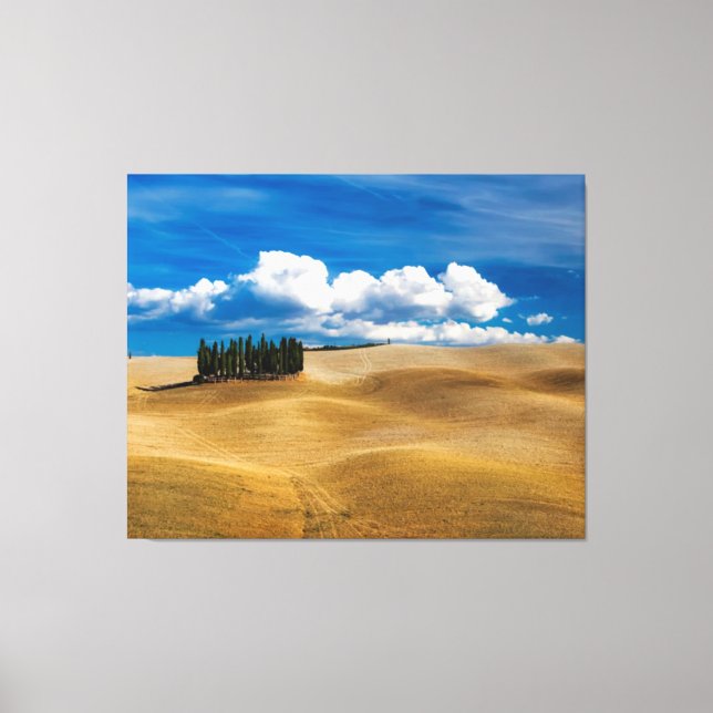 Toskana (Italien) Ebenen Landschaft Leinwanddruck (Vorderseite)