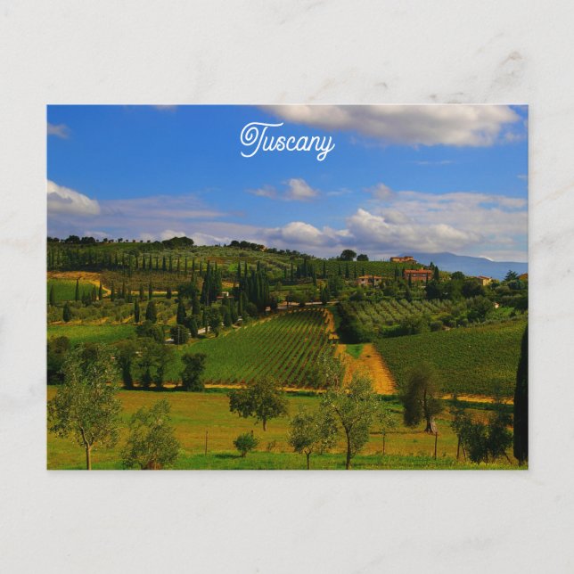 Toskana Italien Italien Weingarten Foto Postkarte (Vorderseite)