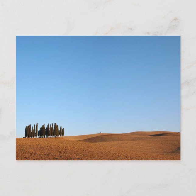Toskana-Landschaft mit Zypressen auf Postkarte (Vorderseite)