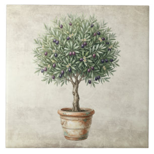 Toskana-Oliven-Topiary Mittelmeer Fliese
