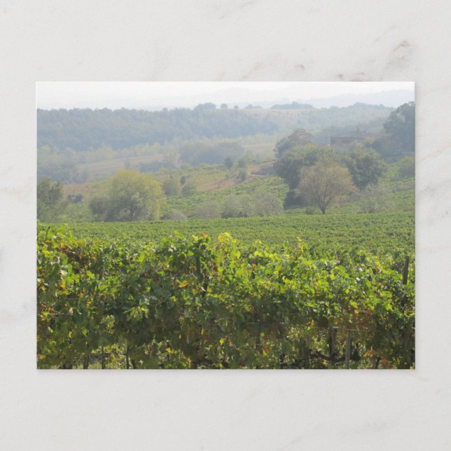 Toskana Postkarte (Vorderseite)