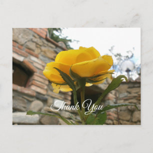 Toskanische gelbe Rose. Danke. Postkarte