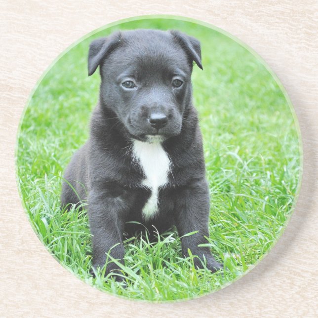 Totadorable Welpe Getränkeuntersetzer (Vorne)
