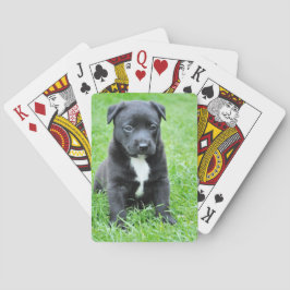 Totadorable Welpe Spielkarten
