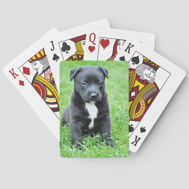 Totadorable Welpe Spielkarten (Rückseite)
