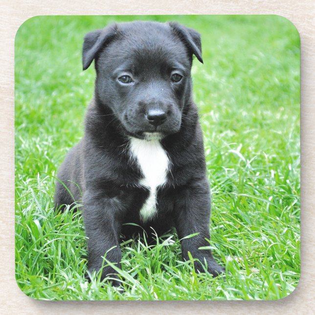 Totally Adorable Puppy Getränkeuntersetzer (Vorderseite)