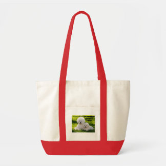 TOTE BAG 16, FRISE DE DE ISHBILIA BICHON