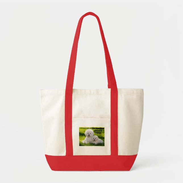 TOTE BAG 16, FRISE DE DE ISHBILIA BICHON (Devant)