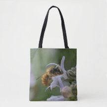 Abeille massive, ou peut-être ( !) autre insecte, 