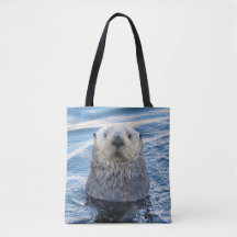 Adorable Peeks De Loutres De Mer