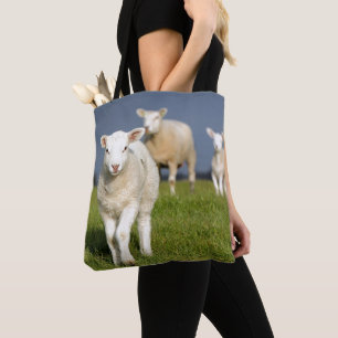 Tote Bag Agneau curieux