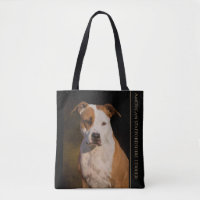 American Staffordshire Terrier