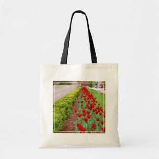 Tote Bag Ampoules de recouvrement