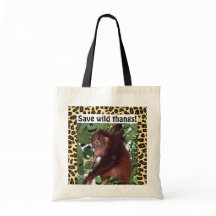 Animal doux de bébé de faune