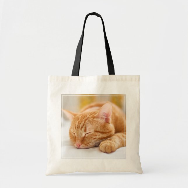 Tote Bag Animaux de bébés cutest | Chat de gingembre dorman (Devant)