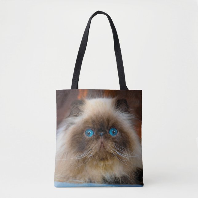 Tote Bag Animaux de bébés cutest | Chat himalayen (Devant)