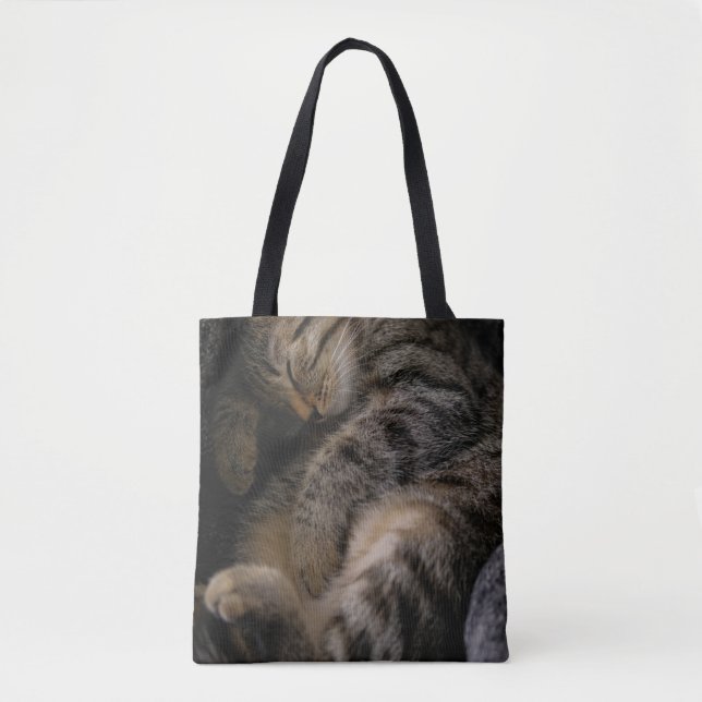 Tote Bag Animaux de bébés cutest | Chat Tabby Dormant (Devant)