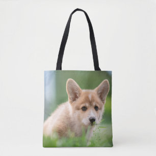 Tote Bag Animaux de bébés cutest   Corgi Puppy dans le tria