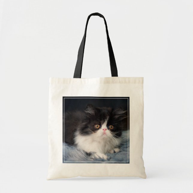 Tote Bag Animaux de bébés cutest | Fluffy B&W Kitten (Devant)