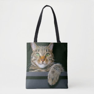 Tote Bag Animaux de bébés cutest   Tête de chat gris Tabby
