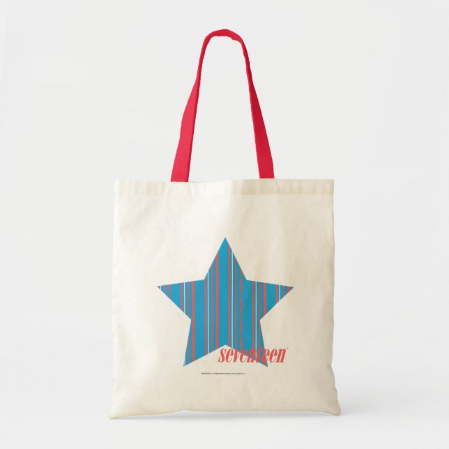 Tote Bag Aqua mince 2 de rayures (Devant)