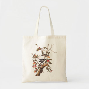 Tote Bag Audubon Downy Pic Paire Art Vintage