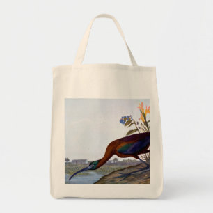 Tote Bag Audubon : IBIS brillant