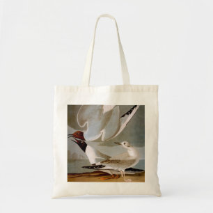 Tote Bag Audubon : La mouette de Bonaparte