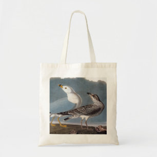 Tote Bag Audubon : Mouette Anneau-Affichée