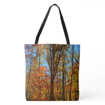 Automne/hiver