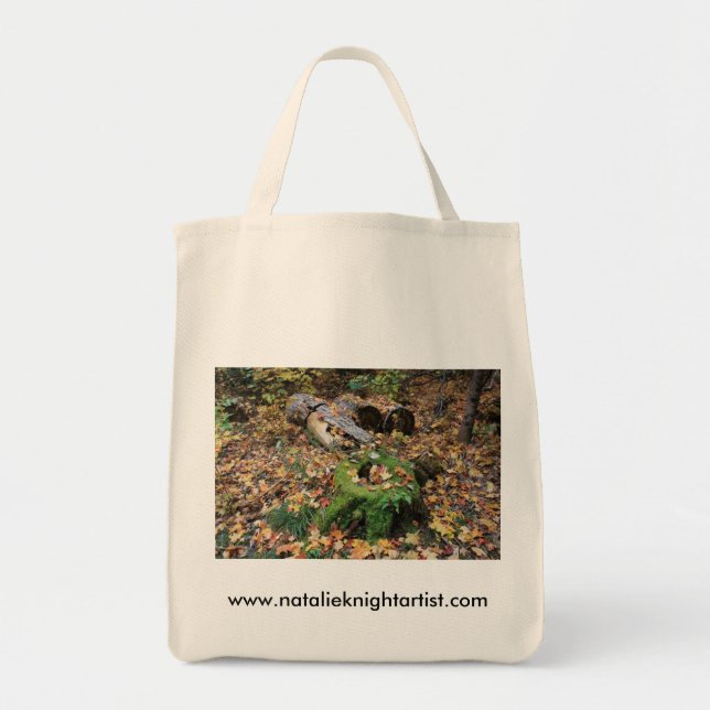 Tote Bag Bag2 (Devant)