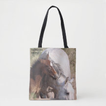 Bassin de lavage de sable Chevaux sauvages