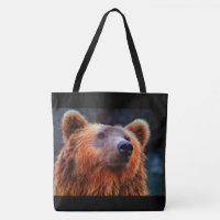 Beau Portrait d'ours Brown Faune Photo