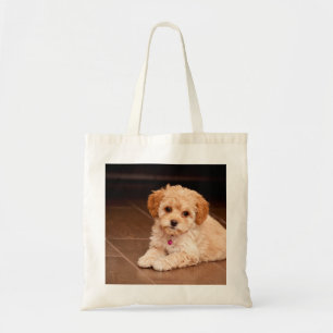 Tote Bag Bébé maltais de caniche ou chien de chiot maltip