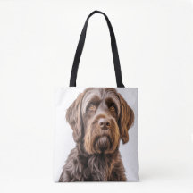 BELLE POINTE À POILS DURS BROWN GRIFFON CHIEN