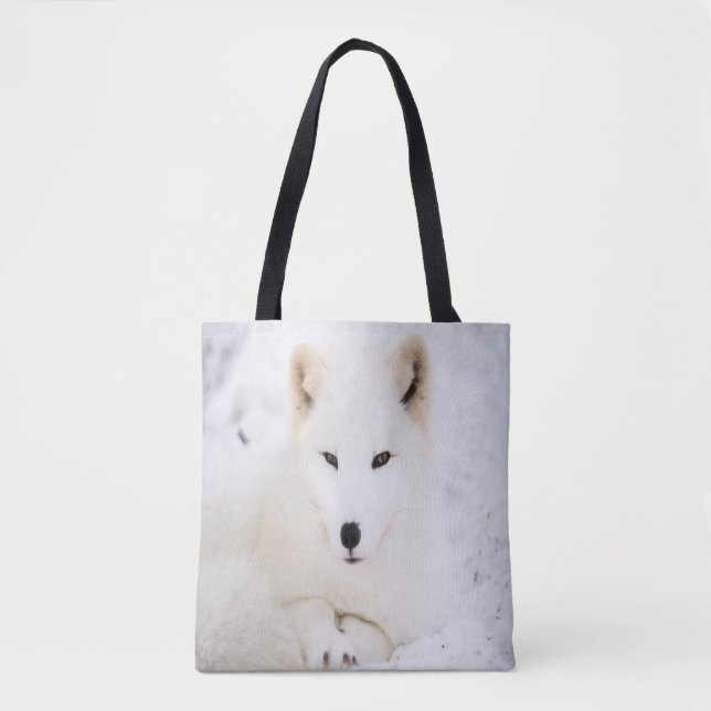 Tote Bag Blanc mignon renard dans la neige vous regardant (Devant)