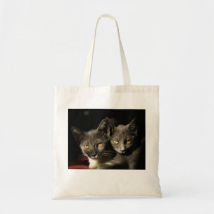Tote Bag Budget photo des chats gris Fourre-tout