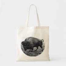 Buffalo à partir de 1901 $10 Bill