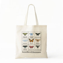 Butterflies of Chautauqua